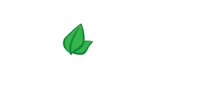 Goba Tea
